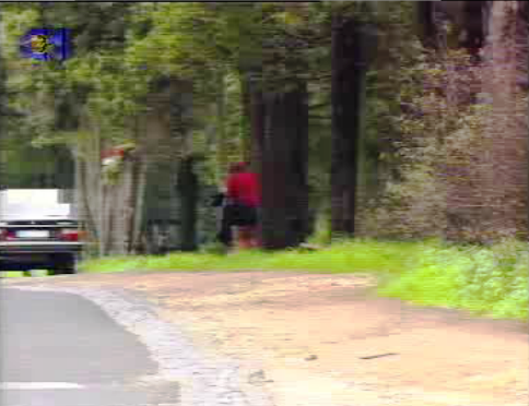 Combate à propagação das DST