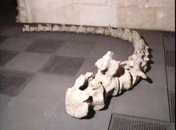 Exposição “Lisboa Subterrânea”