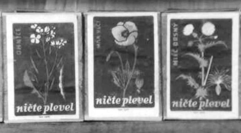 Sabe que há um Museu dos Fósforos?