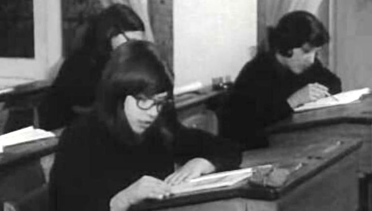 Sabe quem foi Amália Luazes? – Parte I