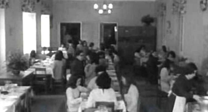 Sabe quem foi Amália Luazes? – Parte II