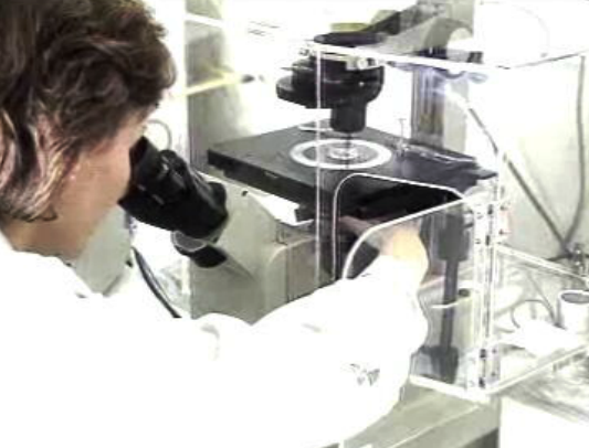 Investigação científica em Portugal