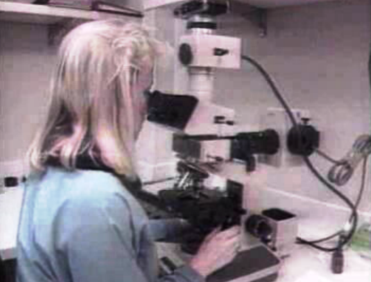 Novo medicamento para o cancro dos ovários