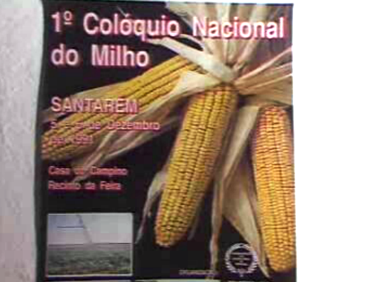 1º Colóquio Nacional do Milho