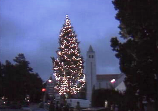 Árvore de Natal em Lisboa