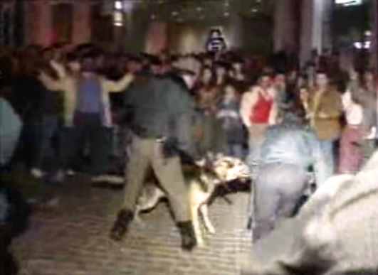 Populares contra decisão do Tribunal