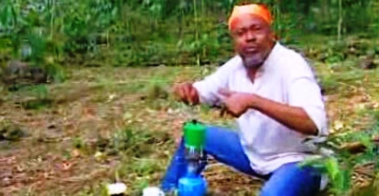 Na Roça com os Tachos