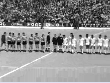 Futebol: Farense vs Sporting