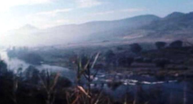 Campanha do Azeite na CEE – III