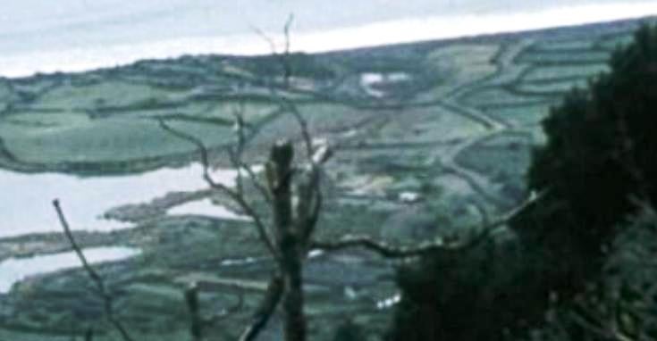 Feira Nacional de Agricultura