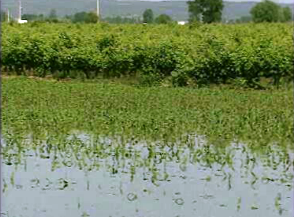 Subida do nível do Tejo