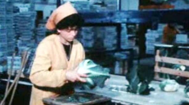 Jornadas Hortícolas do Centro Litoral