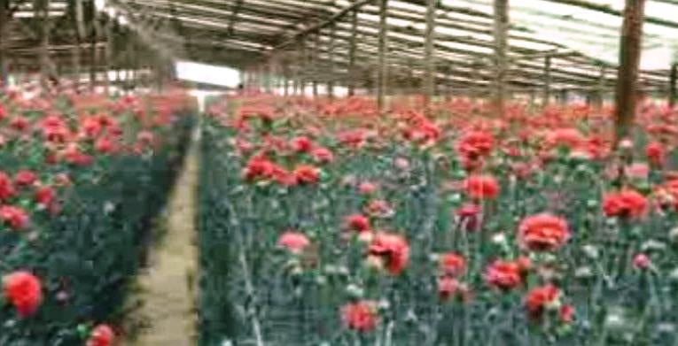 2º Congresso da Agricultura Portuguesa