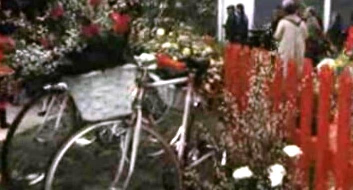 Feira de Floricultura – I