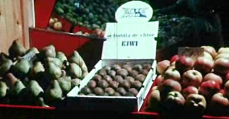 1º Congresso Nacional de Fruticultura – IV