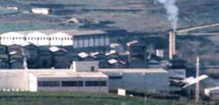 Extração do Azeite Transmontano