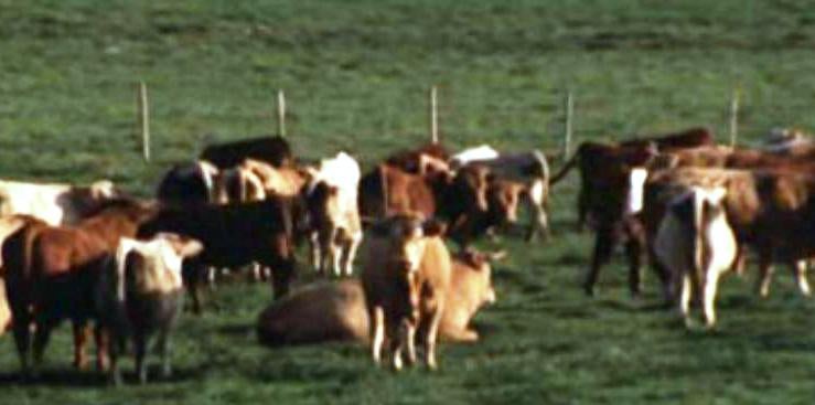 Seminário sobre Desenvolvimento Rural e Agrícola em Portugal – I