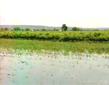 Inundações no Ribatejo