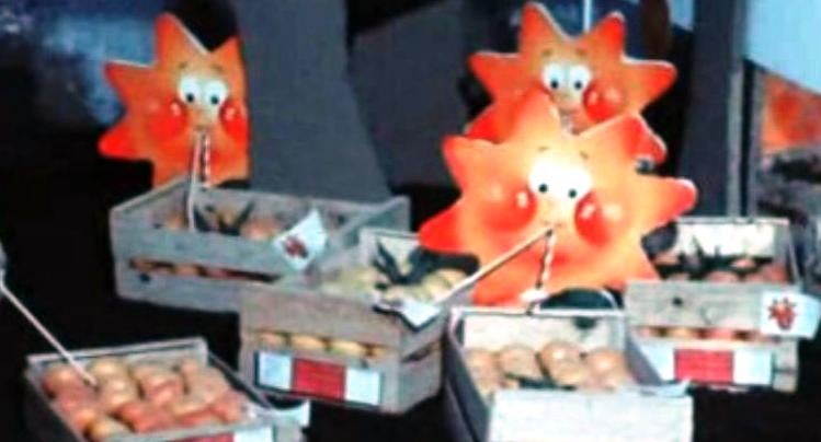 IV Feira Nacional de Citricultura – III