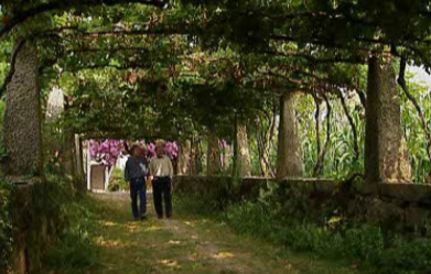 Os Lobos – Episódio 143