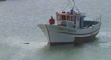 Os Lobos – Episódio 148