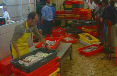 Mar e Pesca – Parte II