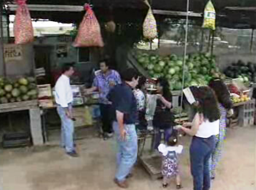 Melões de Espanha no mercado português