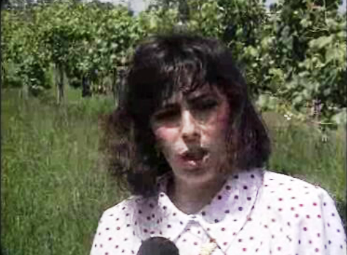 Campanha eleitoral do PPM para o Parlamento Europeu