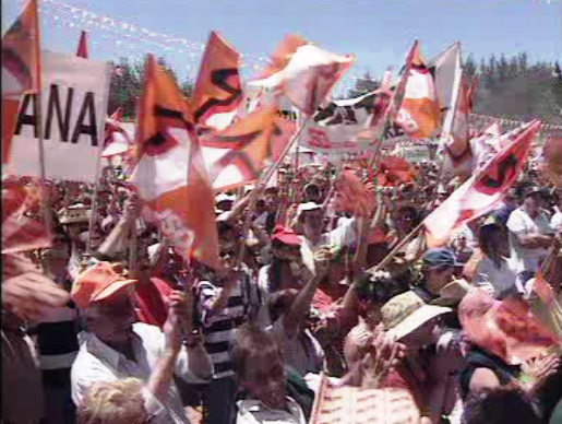 Propostas do PSD Madeira