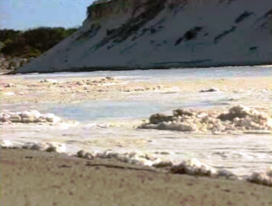 Poluição da celulose