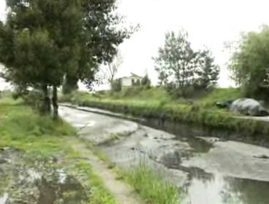 Poluição em Estarreja