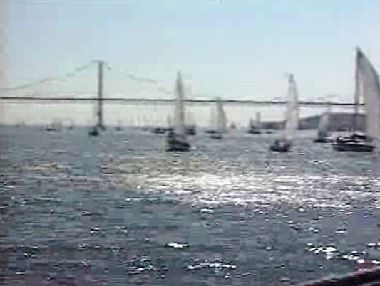 Regata no Tejo