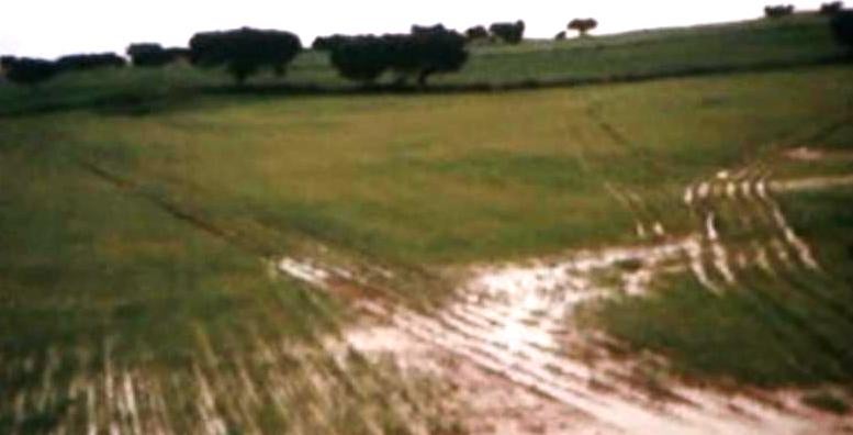 Conferência de Imprensa da ANPOC