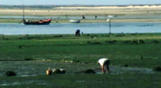 De Algarve e Sol, Pão Duro e Pão Mole