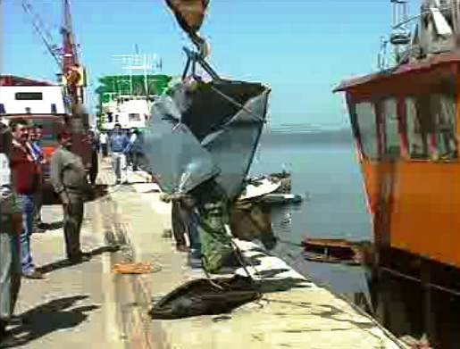 Carro resgatado do Tejo