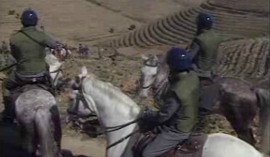 Prós e Contras das Plantações de Eucalipto – Parte I