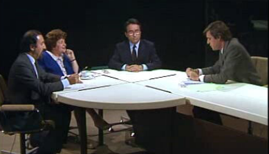 Eurodeputados e Parlamento Europeu – Parte II