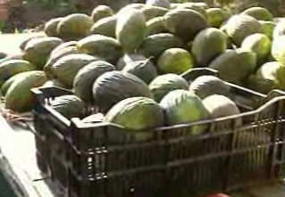 Almeirim – Parte II