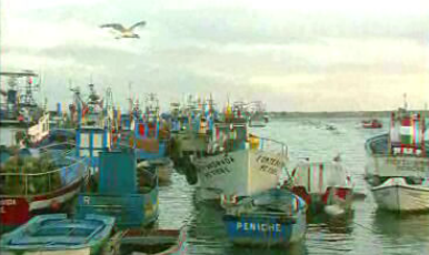 Mar e Pesca – Parte I