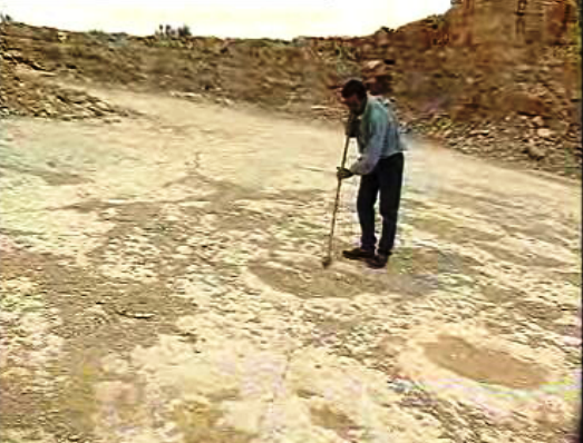 Pegadas de dinossauro em Torres Novas