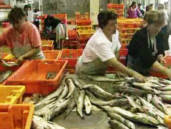 Protesto dos pescadores