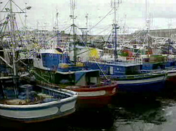 Conflito na pesca do atum