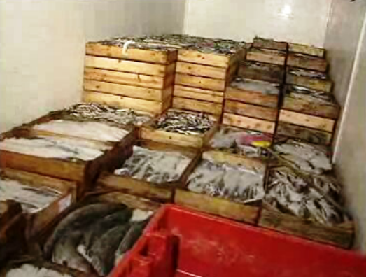 Protestos dos pescadores