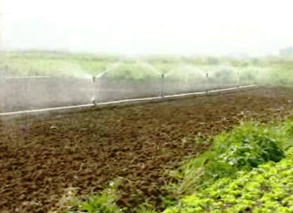 Novo Regime da Água