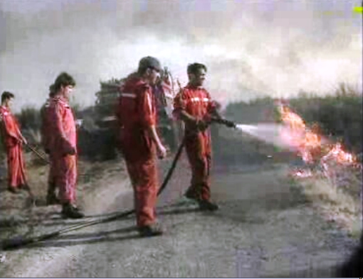 Balanço dos incêndios florestais em 1994