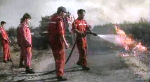 Balanço dos incêndios florestais em 1994