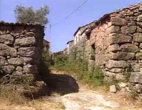 Desertificação na aldeia de Broas