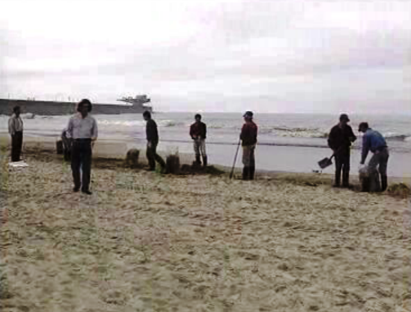 Operação de limpeza da costa portuguesa