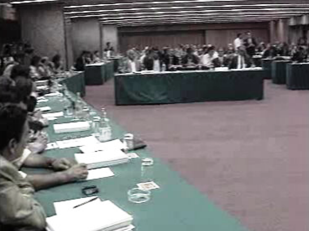 FPF perde estatuto de utilidade pública