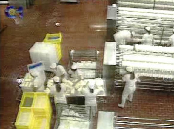 Guerra entre cooperativas de leite